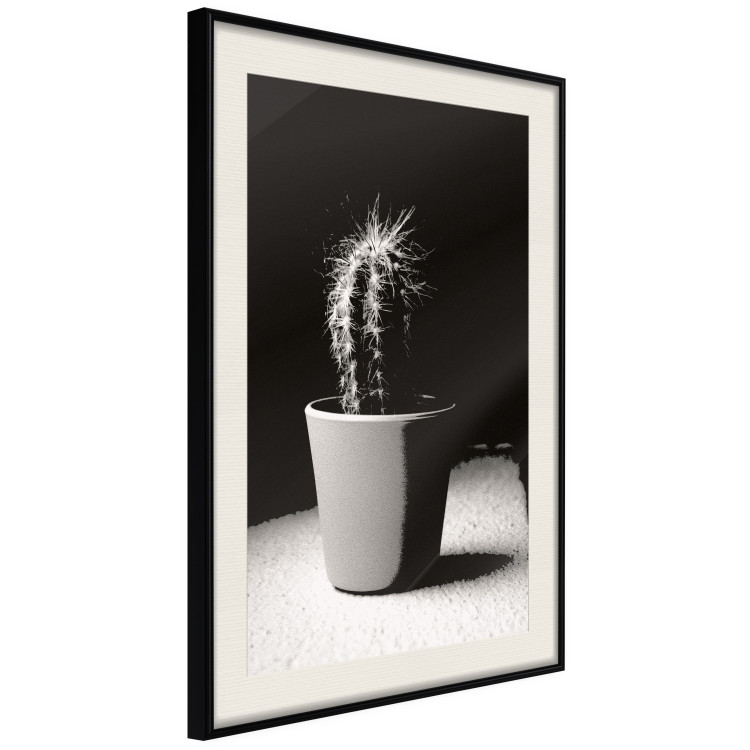 Poster Disheveled Cactus - black and white photograph of a tropical cactus 125275 additionalImage 3