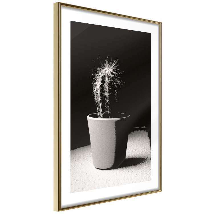 Poster Disheveled Cactus - black and white photograph of a tropical cactus 125275 additionalImage 8