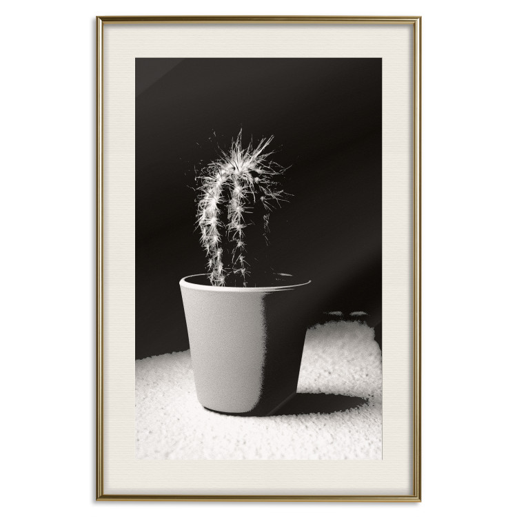 Poster Disheveled Cactus - black and white photograph of a tropical cactus 125275 additionalImage 19