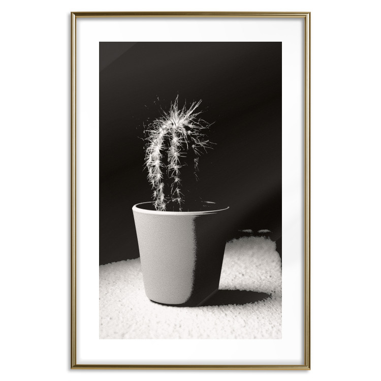 Poster Disheveled Cactus - black and white photograph of a tropical cactus 125275 additionalImage 16