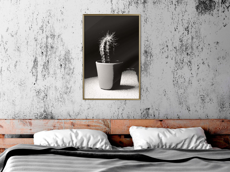 Poster Disheveled Cactus - black and white photograph of a tropical cactus 125275 additionalImage 7
