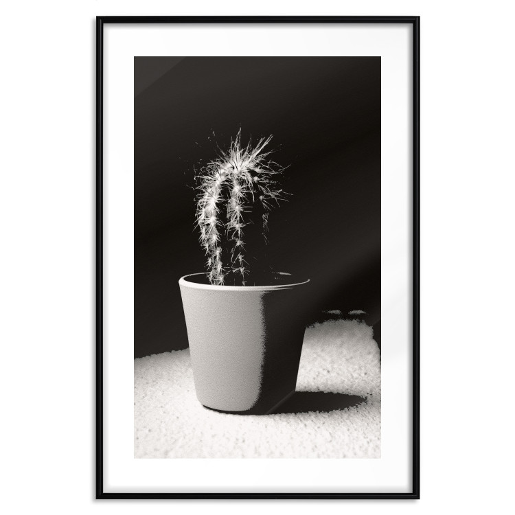 Poster Disheveled Cactus - black and white photograph of a tropical cactus 125275 additionalImage 17