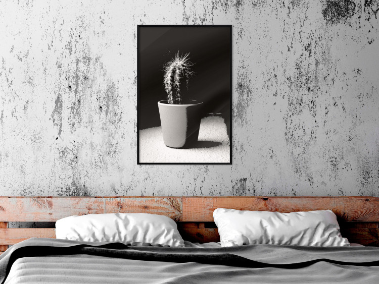 Poster Disheveled Cactus - black and white photograph of a tropical cactus 125275 additionalImage 5