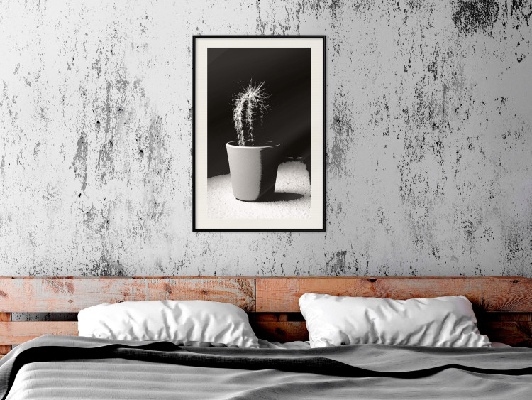 Poster Disheveled Cactus - black and white photograph of a tropical cactus 125275 additionalImage 22