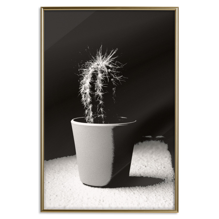 Poster Disheveled Cactus - black and white photograph of a tropical cactus 125275 additionalImage 20