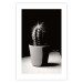 Poster Disheveled Cactus - black and white photograph of a tropical cactus 125275 additionalThumb 25