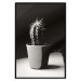 Poster Disheveled Cactus - black and white photograph of a tropical cactus 125275 additionalThumb 24