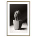 Poster Disheveled Cactus - black and white photograph of a tropical cactus 125275 additionalThumb 16