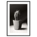Poster Disheveled Cactus - black and white photograph of a tropical cactus 125275 additionalThumb 17