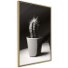 Poster Disheveled Cactus - black and white photograph of a tropical cactus 125275 additionalThumb 14
