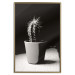 Poster Disheveled Cactus - black and white photograph of a tropical cactus 125275 additionalThumb 20