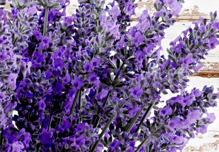 Wall Poster Lavender Bouquet - purple flowers in pot on background of wooden planks 128075 additionalImage 9