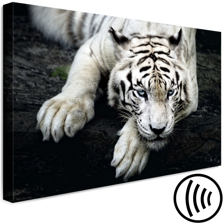 Canvas Print Menacing Look (1-part) wide - first variant - tiger 128775 additionalImage 6
