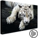 Canvas Print Menacing Look (1-part) wide - first variant - tiger 128775 additionalThumb 6