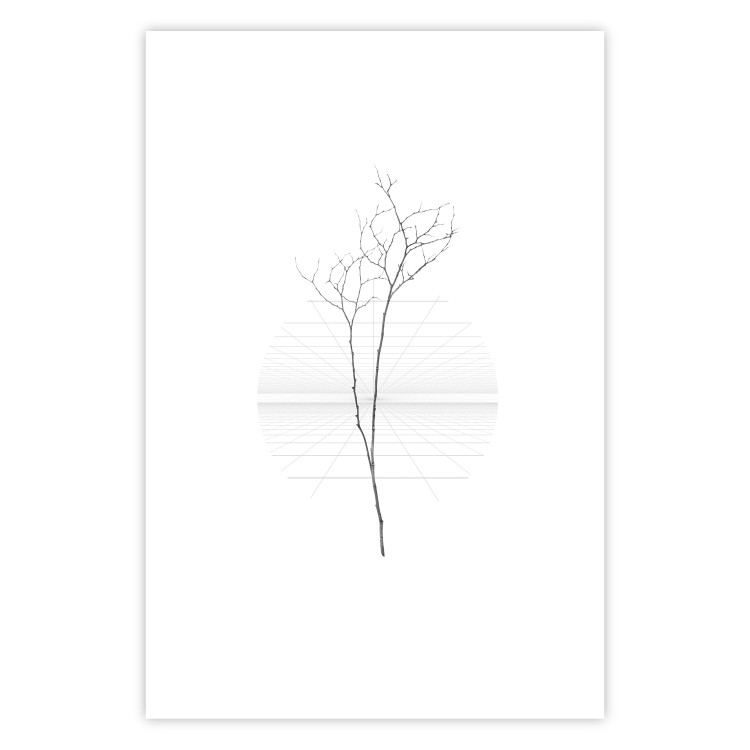 Poster Winter Twig - black and thin plant on a plain white background 129775 additionalImage 25