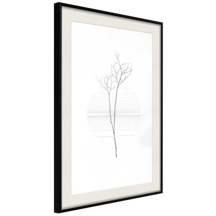 Poster Winter Twig - black and thin plant on a plain white background 129775 additionalImage 2