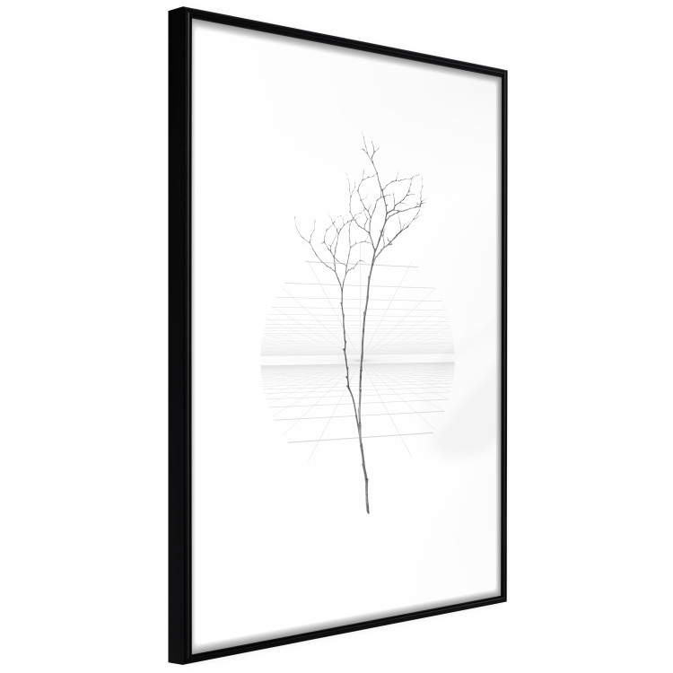 Poster Winter Twig - black and thin plant on a plain white background 129775 additionalImage 11