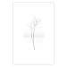 Poster Winter Twig - black and thin plant on a plain white background 129775 additionalThumb 25