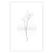 Poster Winter Twig - black and thin plant on a plain white background 129775