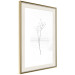Poster Winter Twig - black and thin plant on a plain white background 129775 additionalThumb 3