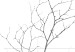 Poster Winter Twig - black and thin plant on a plain white background 129775 additionalThumb 9