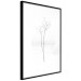 Poster Winter Twig - black and thin plant on a plain white background 129775 additionalThumb 11