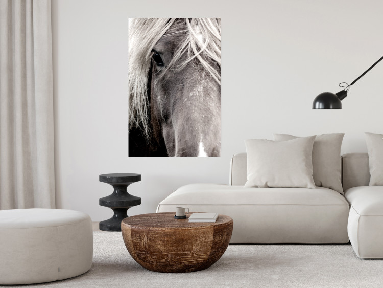 Poster Free Spirit - black and white portrait of a horse with a clearly visible face 130275 additionalImage 4