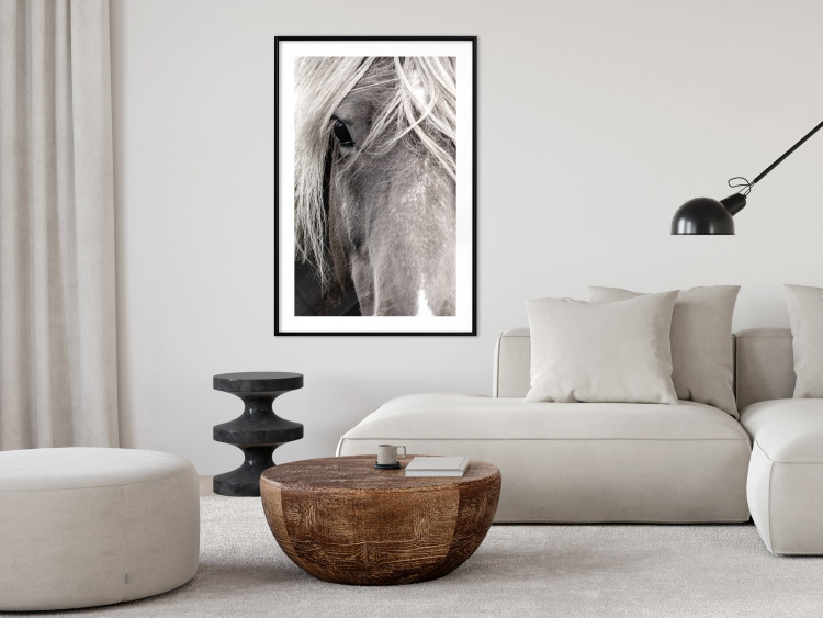 Poster Free Spirit - black and white portrait of a horse with a clearly visible face 130275 additionalImage 23