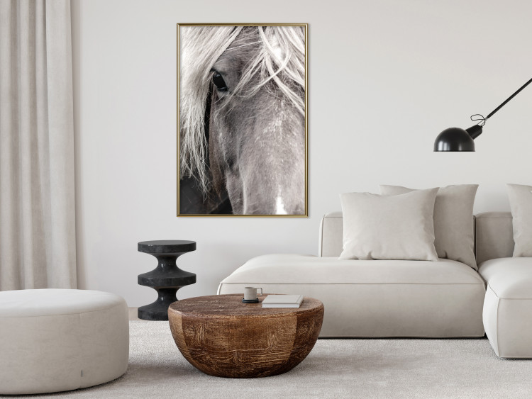 Poster Free Spirit - black and white portrait of a horse with a clearly visible face 130275 additionalImage 5
