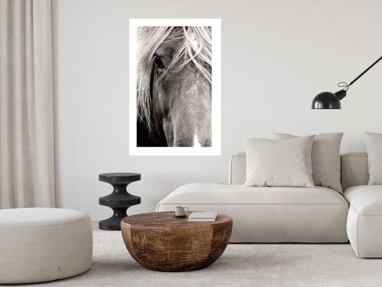 Poster Free Spirit - black and white portrait of a horse with a clearly visible face 130275 additionalImage 5