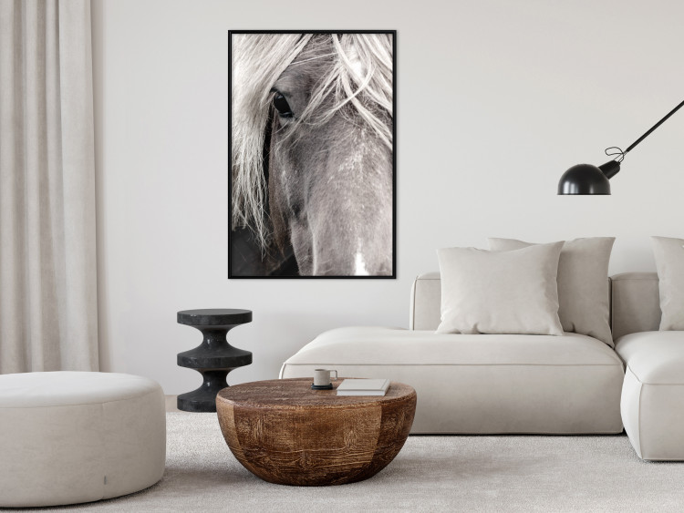 Poster Free Spirit - black and white portrait of a horse with a clearly visible face 130275 additionalImage 4