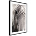 Poster Free Spirit - black and white portrait of a horse with a clearly visible face 130275 additionalThumb 8