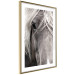 Poster Free Spirit - black and white portrait of a horse with a clearly visible face 130275 additionalThumb 7