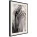 Poster Free Spirit - black and white portrait of a horse with a clearly visible face 130275 additionalThumb 2