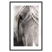Poster Free Spirit - black and white portrait of a horse with a clearly visible face 130275 additionalThumb 17