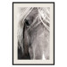 Poster Free Spirit - black and white portrait of a horse with a clearly visible face 130275 additionalThumb 19