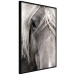 Poster Free Spirit - black and white portrait of a horse with a clearly visible face 130275 additionalThumb 13