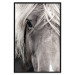 Poster Free Spirit - black and white portrait of a horse with a clearly visible face 130275 additionalThumb 18