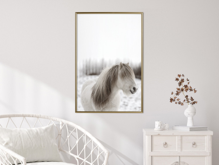 Poster Horse Mane - white horse with a lot of hair against a winter forest 130375 additionalImage 5