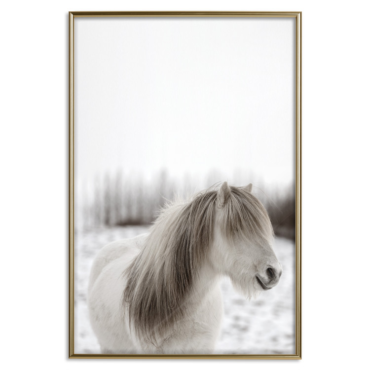 Poster Horse Mane - white horse with a lot of hair against a winter forest 130375 additionalImage 16
