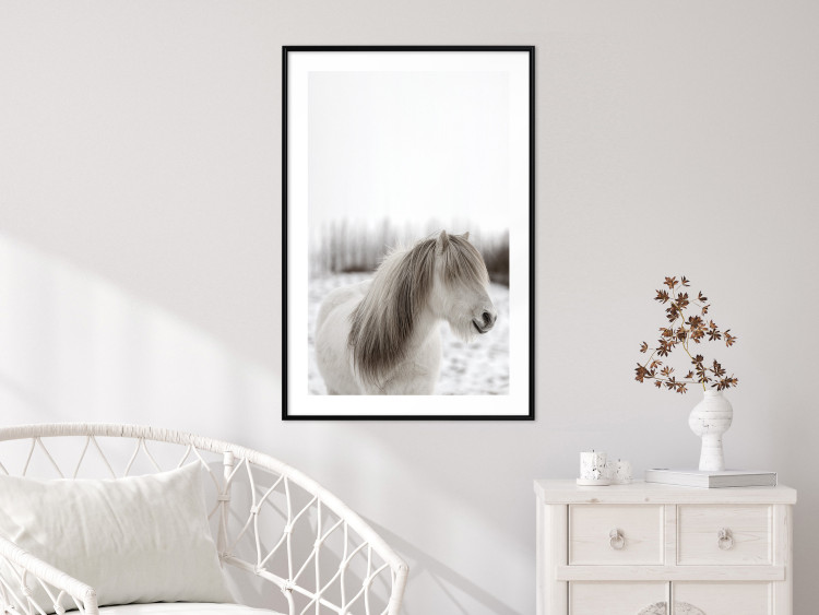 Poster Horse Mane - white horse with a lot of hair against a winter forest 130375 additionalImage 18
