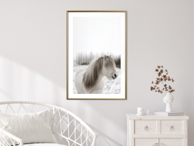 Poster Horse Mane - white horse with a lot of hair against a winter forest 130375 additionalImage 13