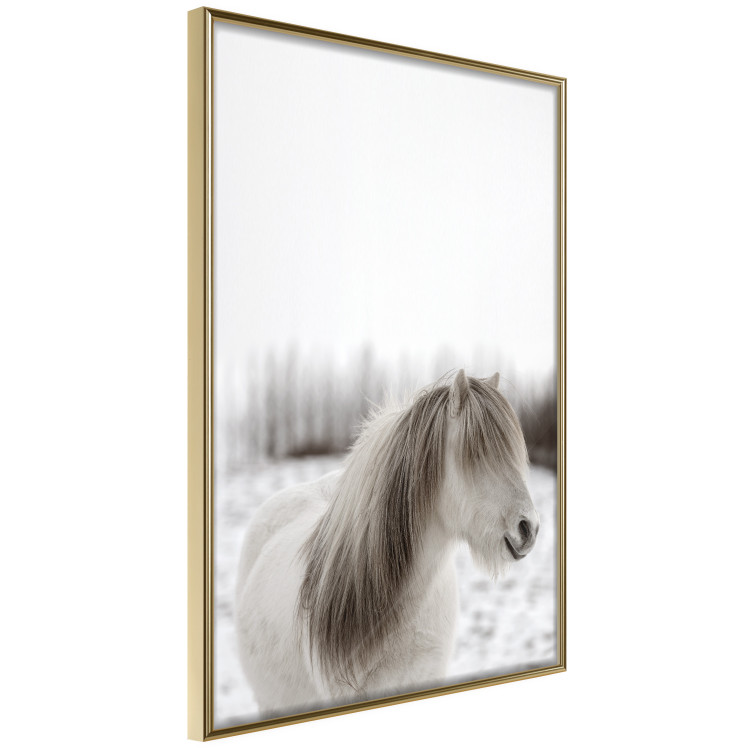 Poster Horse Mane - white horse with a lot of hair against a winter forest 130375 additionalImage 12