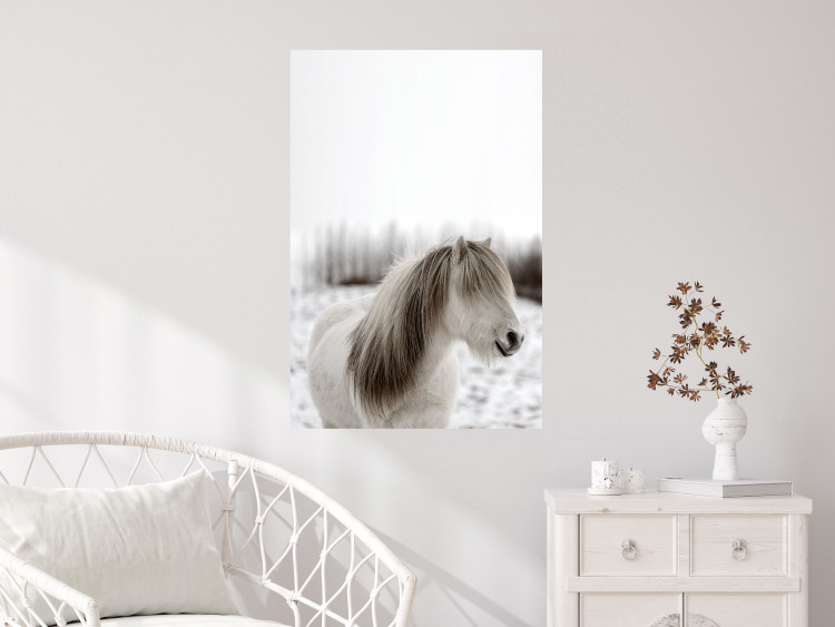 Poster Horse Mane - white horse with a lot of hair against a winter forest 130375 additionalImage 2