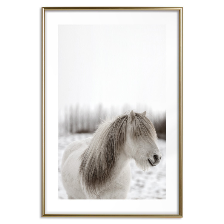 Poster Horse Mane - white horse with a lot of hair against a winter forest 130375 additionalImage 19