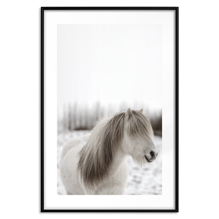 Poster Horse Mane - white horse with a lot of hair against a winter forest 130375 additionalImage 20