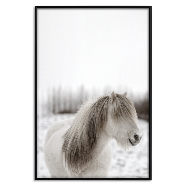 Poster Horse Mane - white horse with a lot of hair against a winter forest 130375 additionalImage 17
