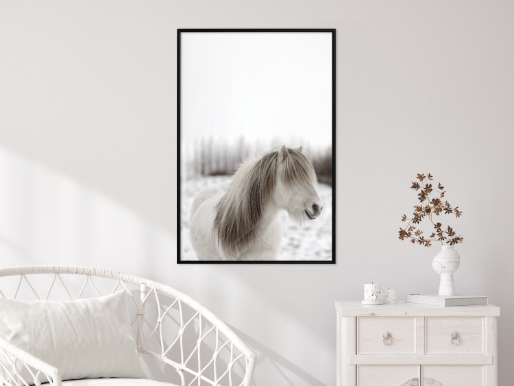Poster Horse Mane - white horse with a lot of hair against a winter forest 130375 additionalImage 4