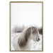 Poster Horse Mane - white horse with a lot of hair against a winter forest 130375 additionalThumb 16