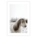Poster Horse Mane - white horse with a lot of hair against a winter forest 130375 additionalThumb 15